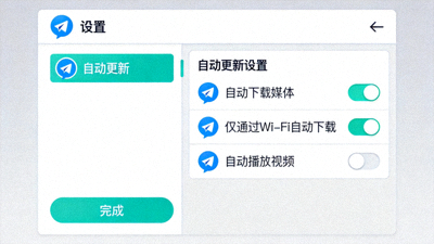Telegram客户端内自动更新设置的选项界面截图
